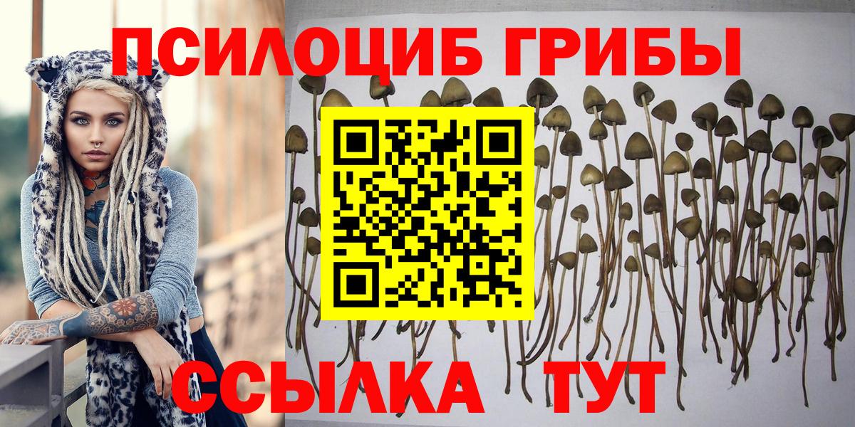 Галлюциногенные грибы мухоморы Чусовой