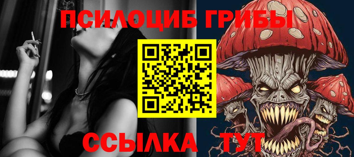 Галлюциногенные грибы Psilocybine cubensis  Галлюциногенные грибы Cubensis  Чусовой  Вход с VPN 